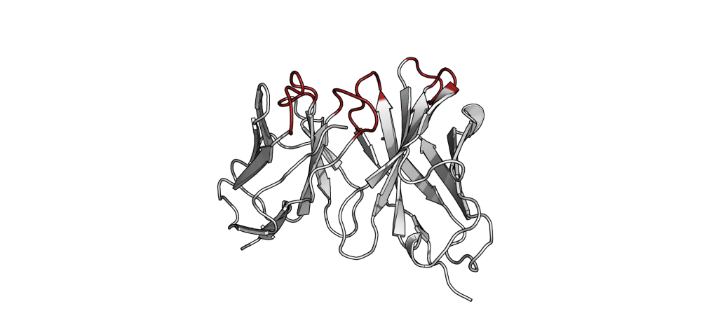 Haddock2 4 Antibody Antigen Tutorial Using Pdb Tools Webserver Bonvin Lab