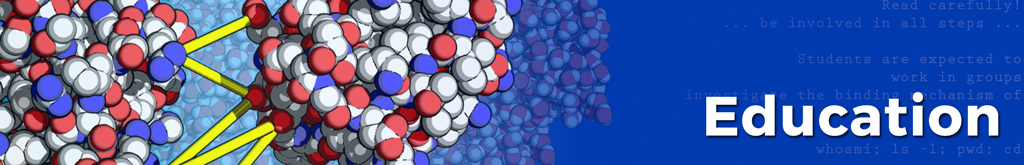 HADDOCK small molecule binding site screening feature image