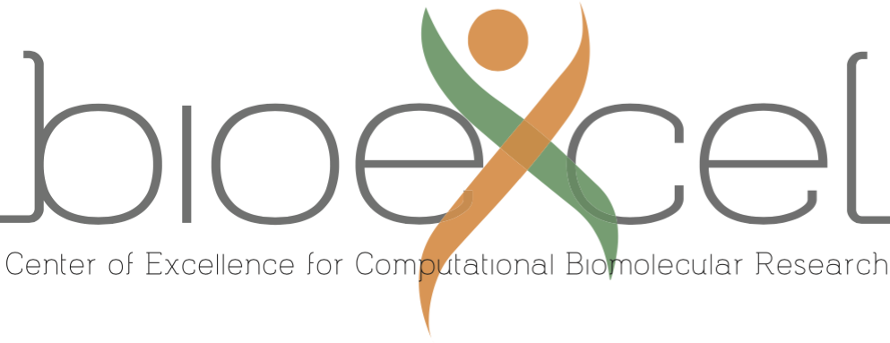 #BioExcel: New Centre of Excellence for Computational Biomolecular Research